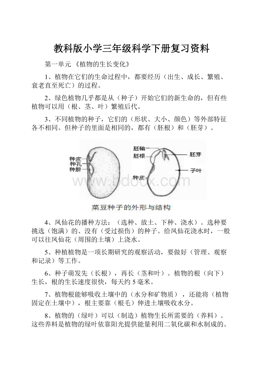 教科版小学三年级科学下册复习资料.docx