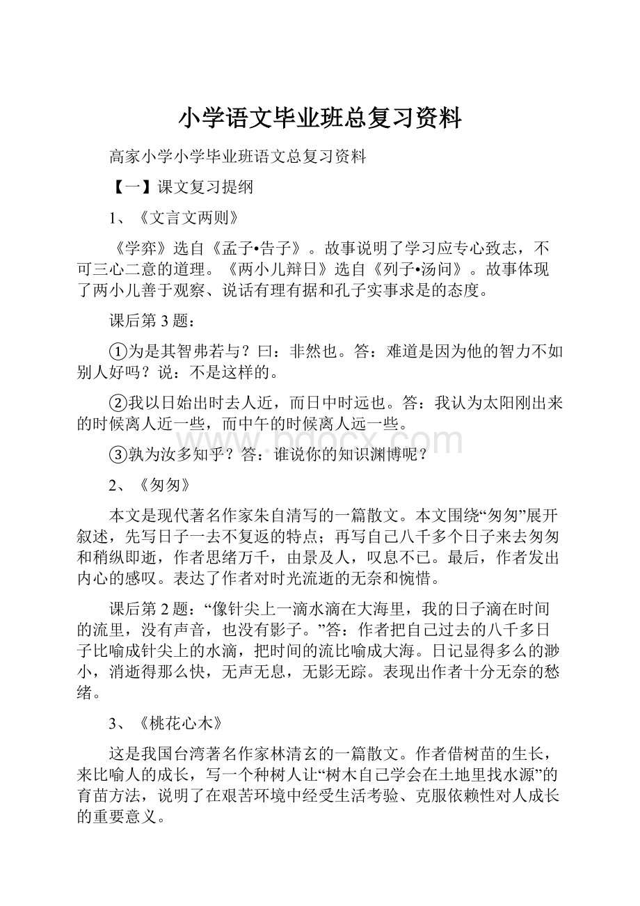 小学语文毕业班总复习资料.docx