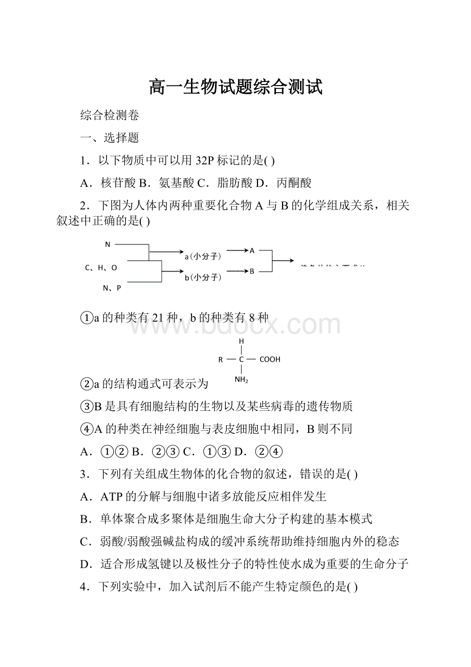 高一生物试题综合测试.docx