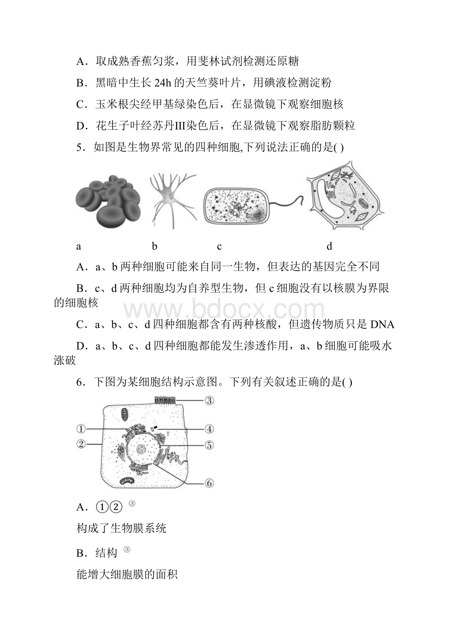 高一生物试题综合测试.docx_第2页