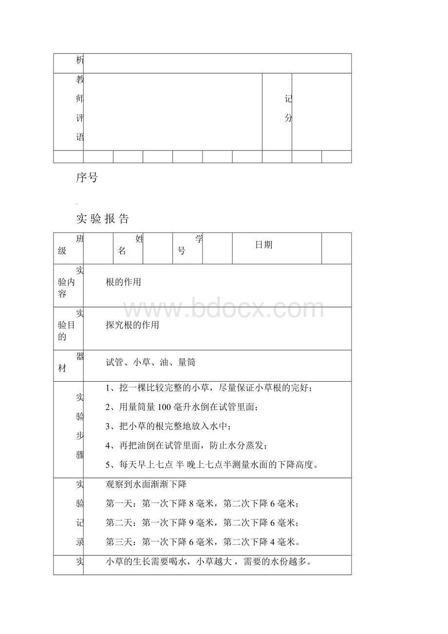 三年级实验报告表上.docx_第3页