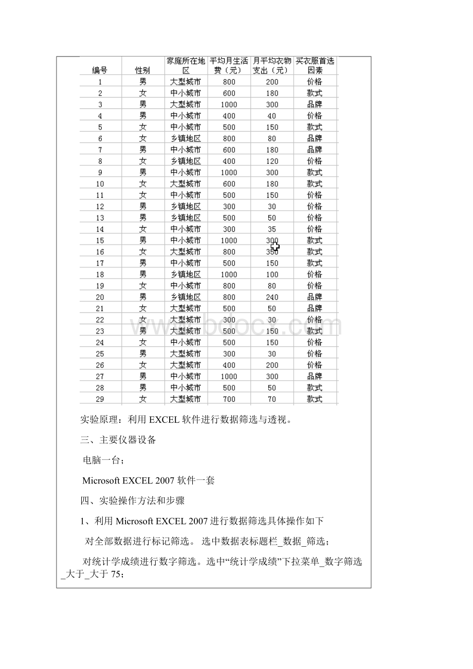 数据的筛选与透视实验报告.docx_第3页