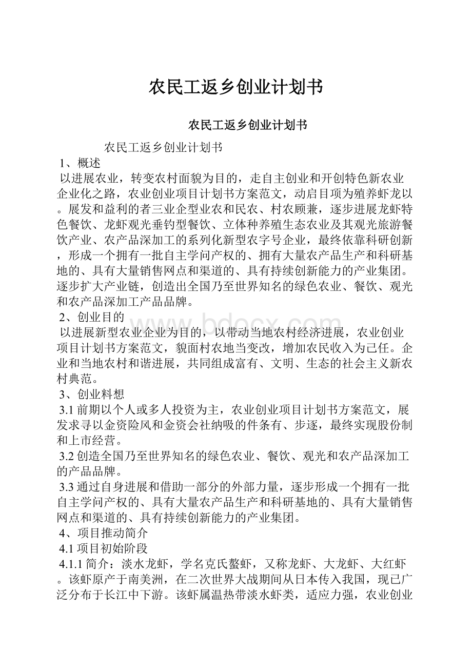 农民工返乡创业计划书.docx_第1页