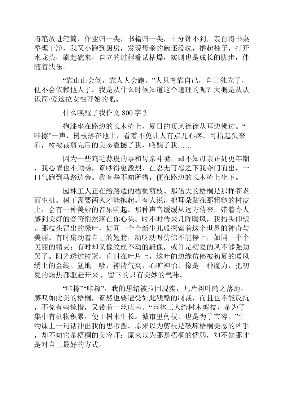 什么唤醒了我作文800字.docx_第2页