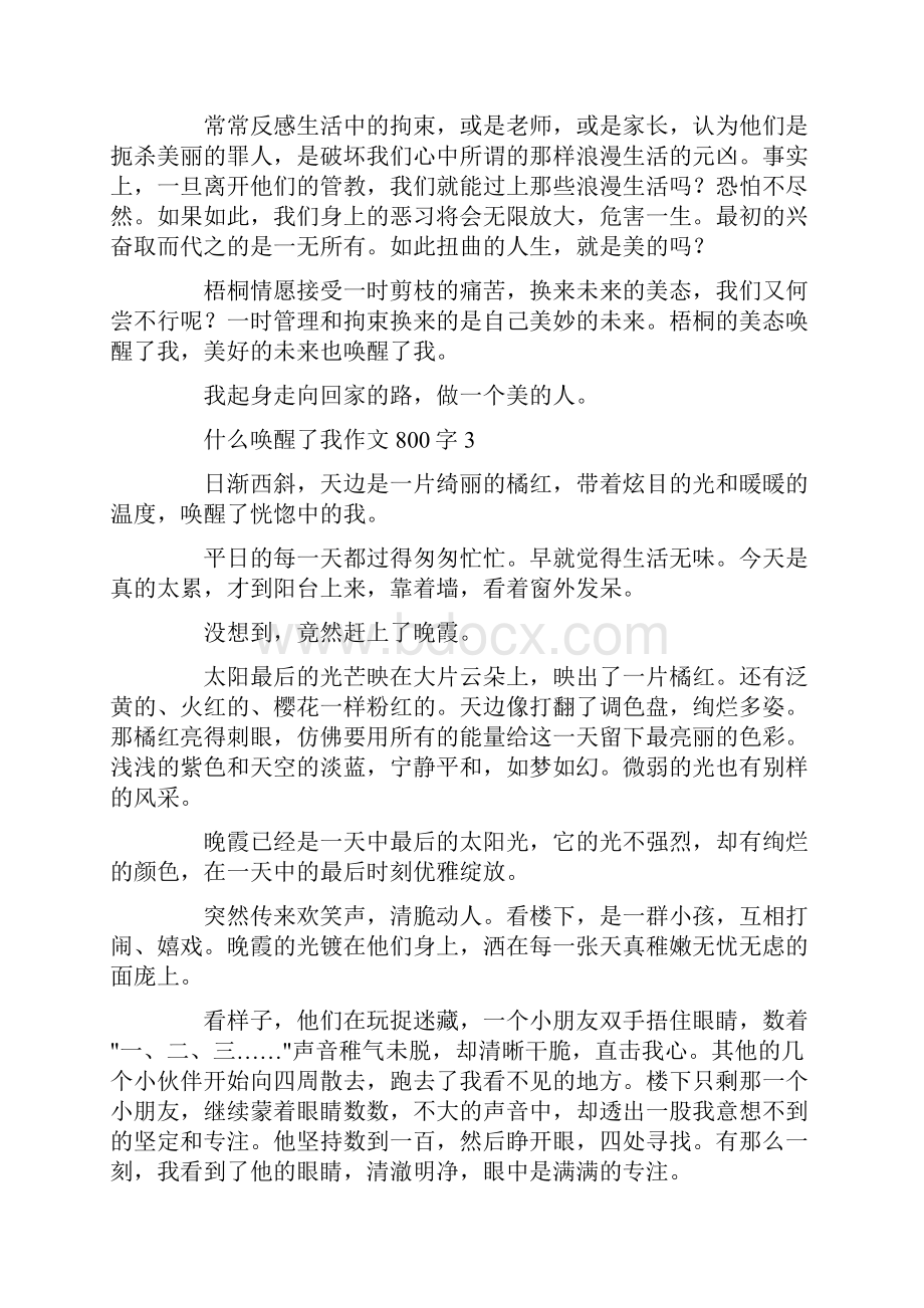 什么唤醒了我作文800字.docx_第3页