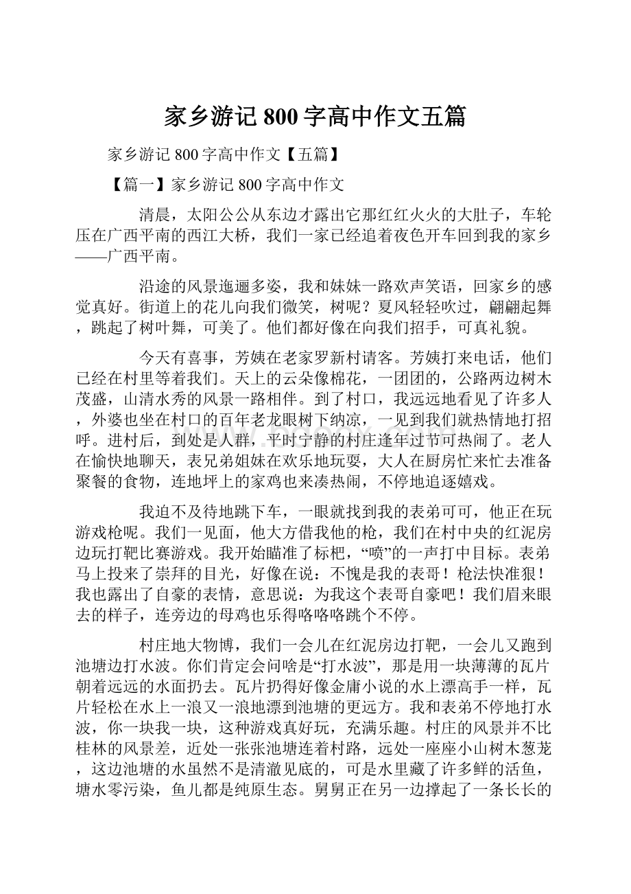 家乡游记800字高中作文五篇.docx