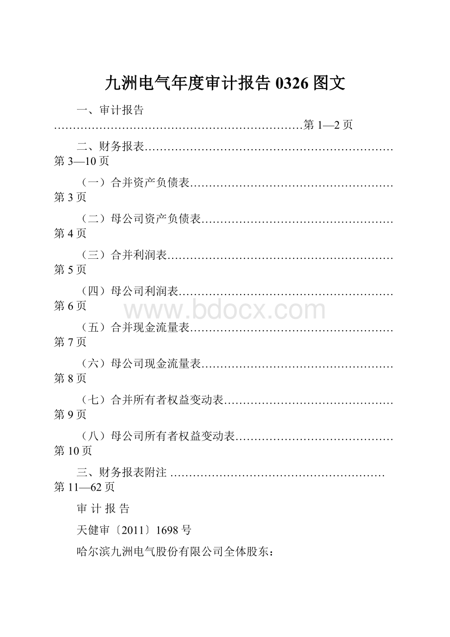 九洲电气年度审计报告 0326图文.docx