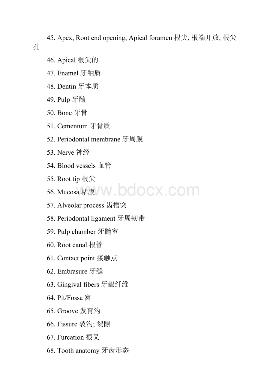 牙科专用术语英中对照表.docx_第3页
