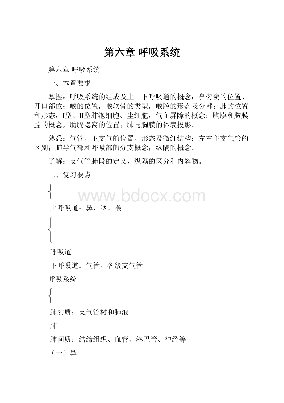 第六章 呼吸系统.docx_第1页