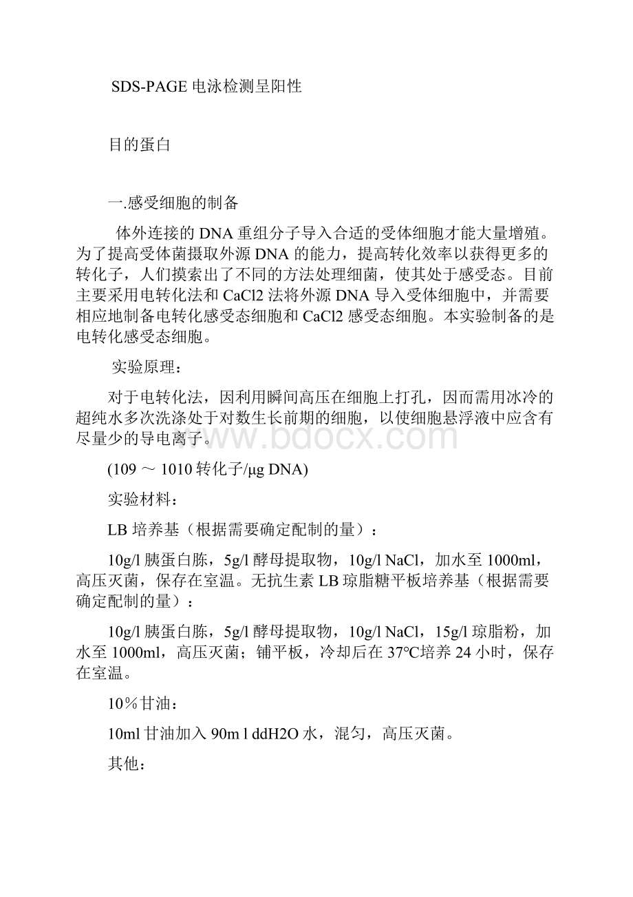 原核表达实验流程.docx_第3页