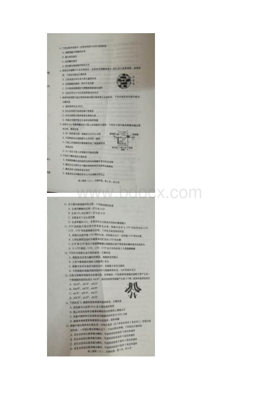 河北省保定市届高三毕业班模拟试题生物 扫描版含答案.docx_第2页