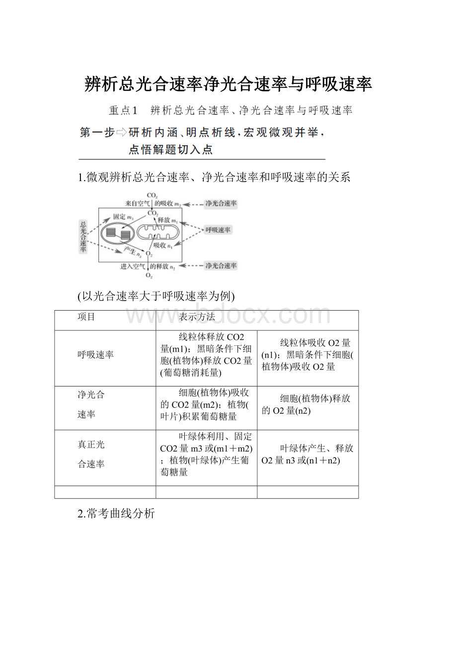 辨析总光合速率净光合速率与呼吸速率.docx_第1页