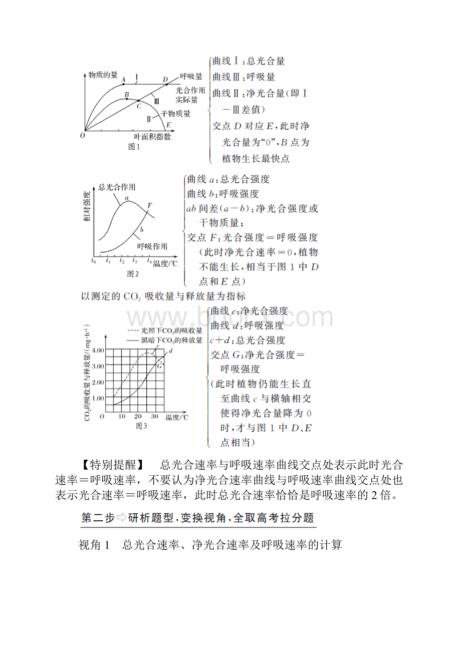 辨析总光合速率净光合速率与呼吸速率.docx_第2页