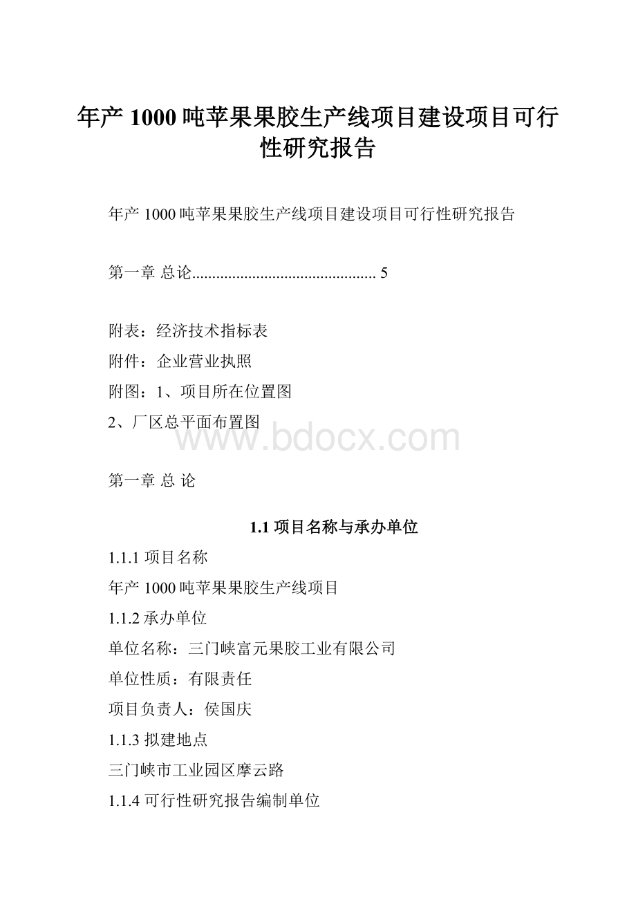 年产1000吨苹果果胶生产线项目建设项目可行性研究报告.docx_第1页