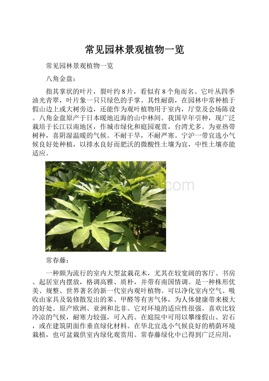 常见园林景观植物一览.docx_第1页