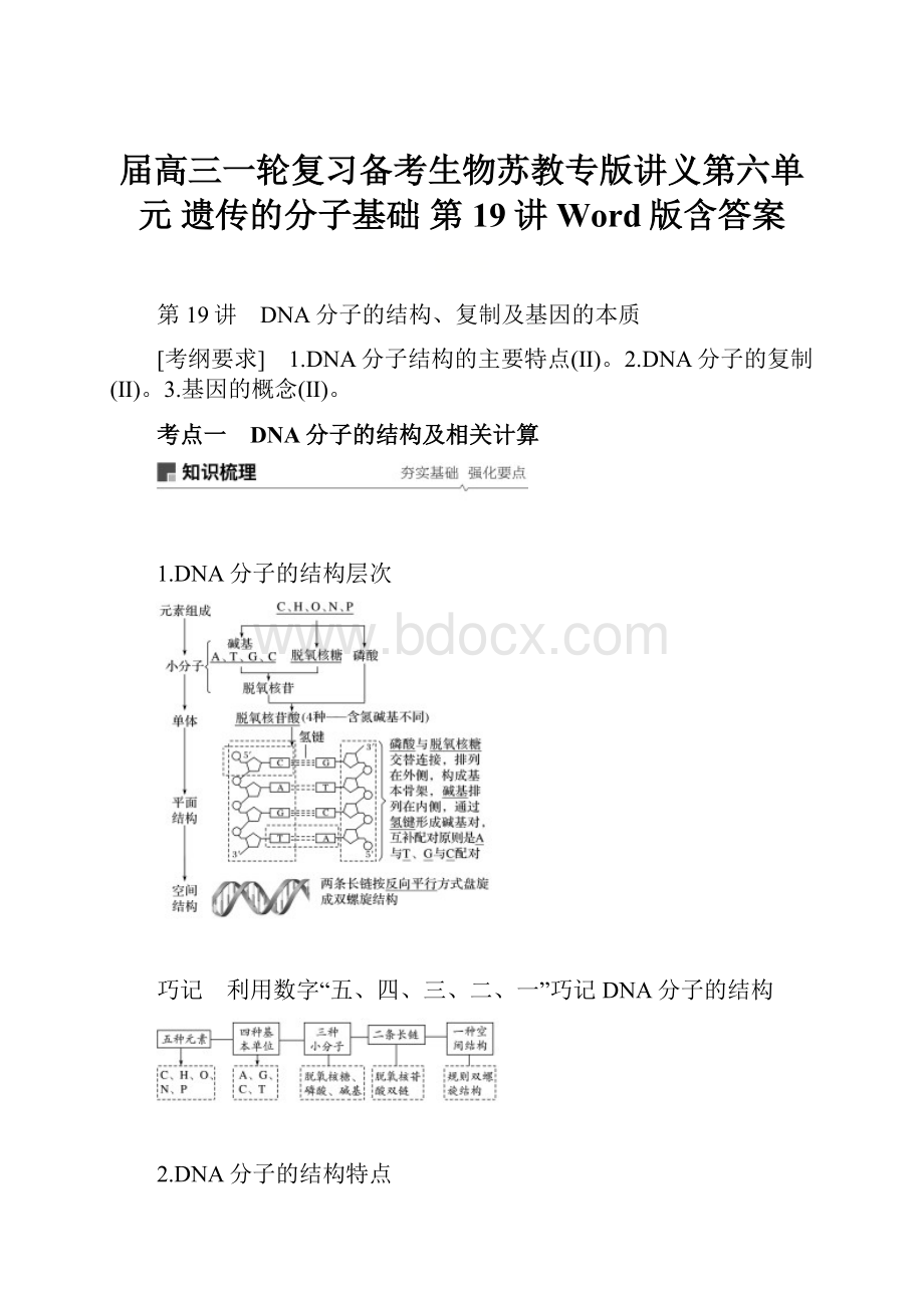 届高三一轮复习备考生物苏教专版讲义第六单元 遗传的分子基础 第19讲 Word版含答案.docx