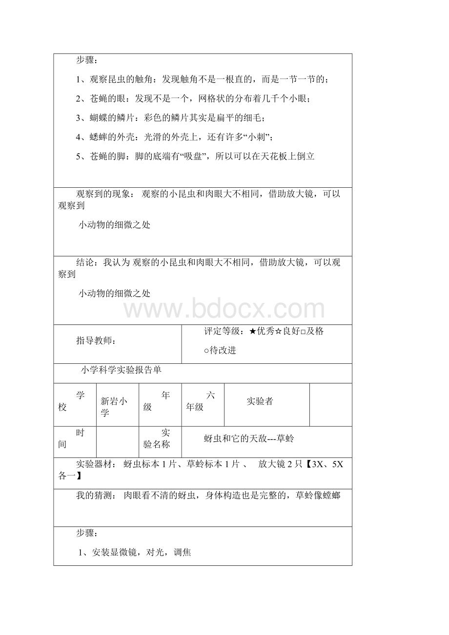 六年级下册科学实验题全部.docx_第3页