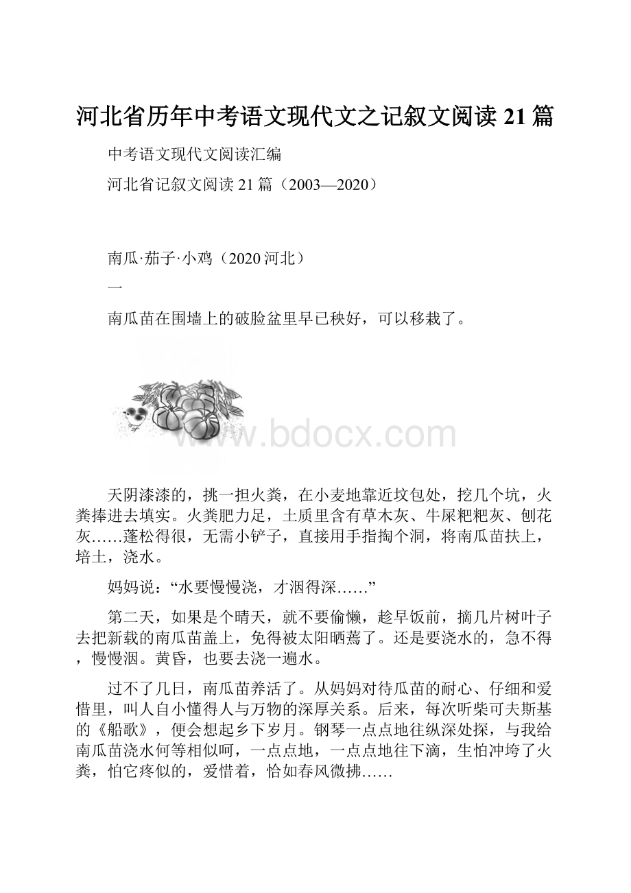 河北省历年中考语文现代文之记叙文阅读21篇.docx