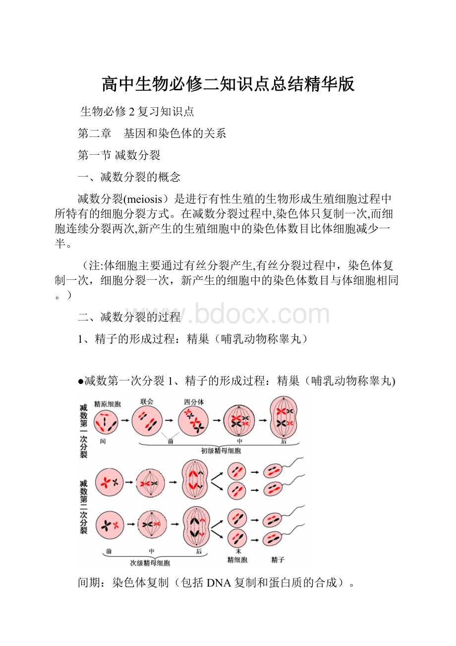 高中生物必修二知识点总结精华版.docx