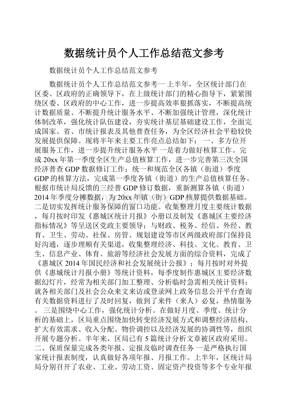 数据统计员个人工作总结范文参考.docx