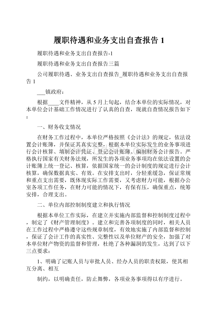 履职待遇和业务支出自查报告1.docx