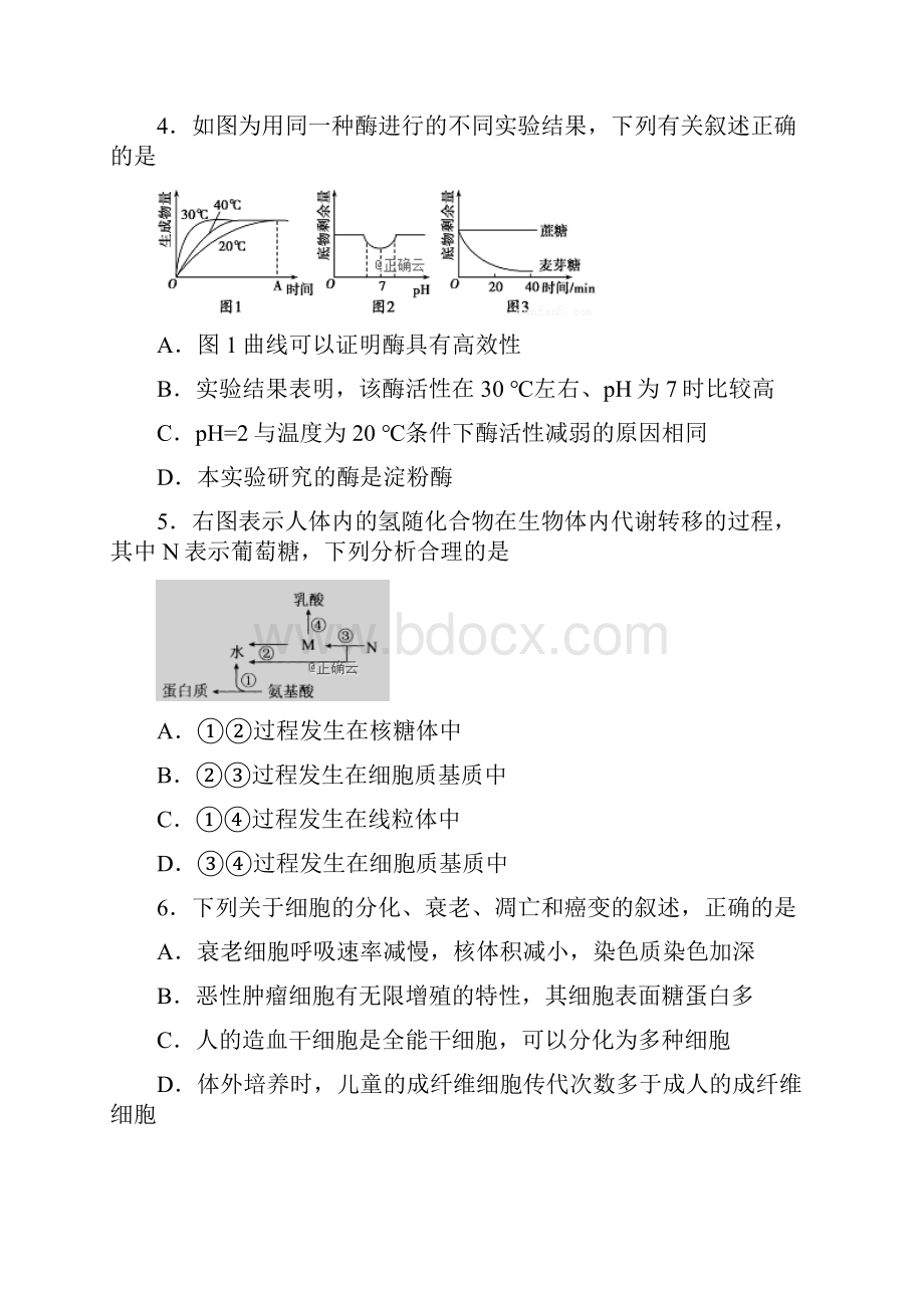 江苏省苏州市届高三生物上学期期初考试试题.docx_第2页