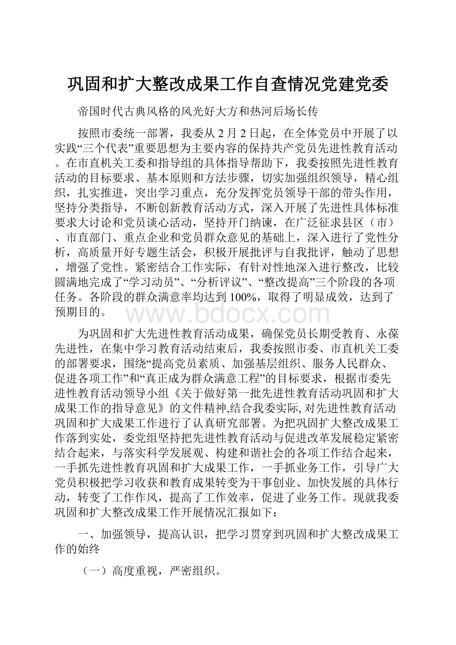 巩固和扩大整改成果工作自查情况党建党委.docx_第1页