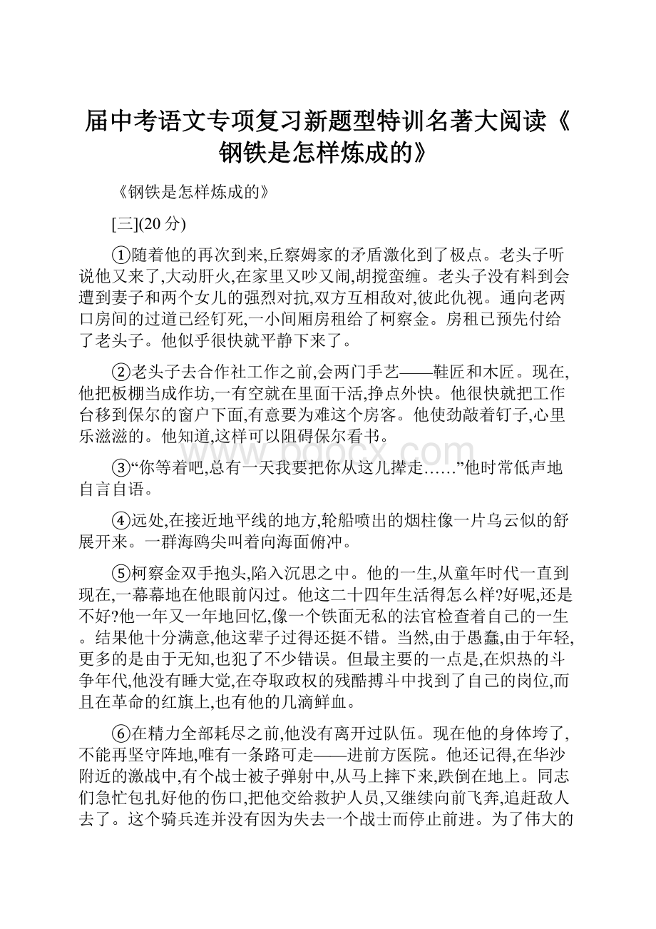 届中考语文专项复习新题型特训名著大阅读《钢铁是怎样炼成的》.docx