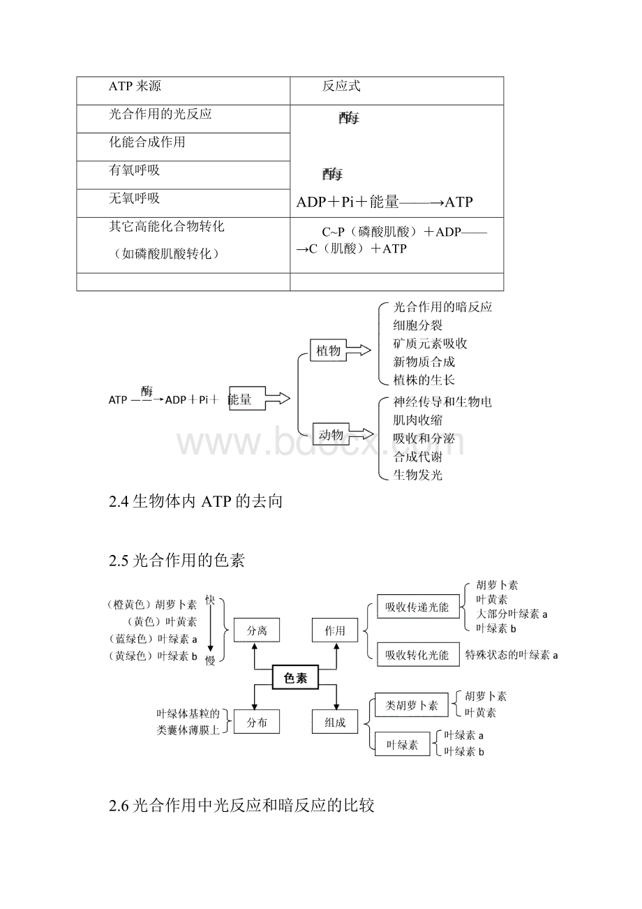 高考生物必考知识点生物的新陈代谢.docx_第2页