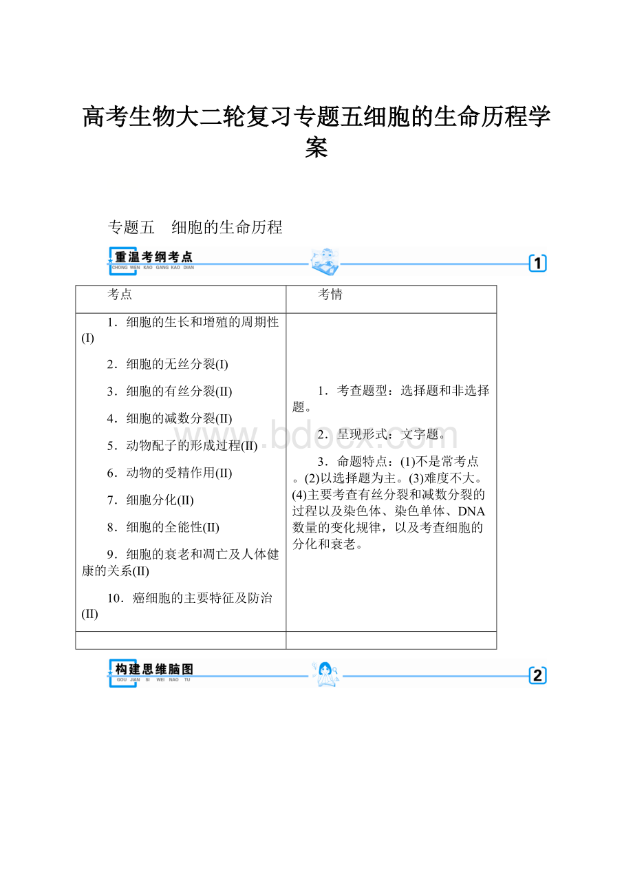 高考生物大二轮复习专题五细胞的生命历程学案.docx_第1页