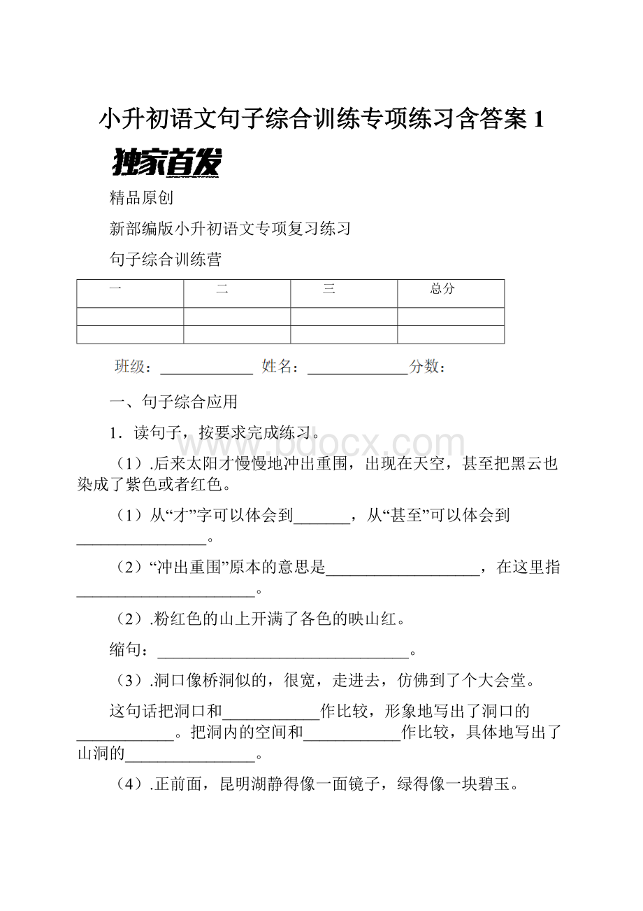 小升初语文句子综合训练专项练习含答案 1.docx