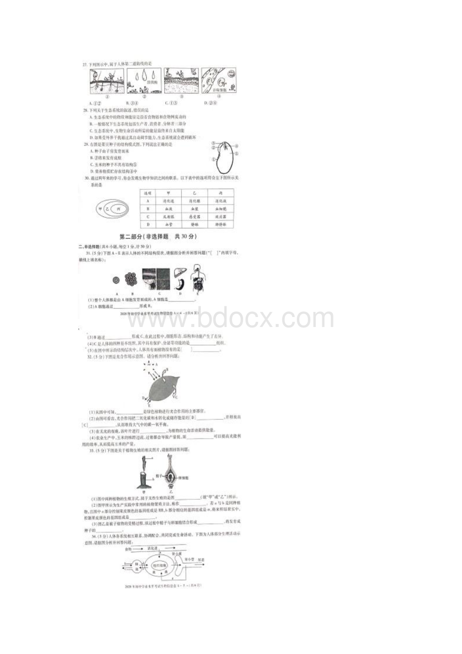 陕西省渭南市韩城市初中学业水平考试中考生物信息卷及答案图片版.docx_第3页