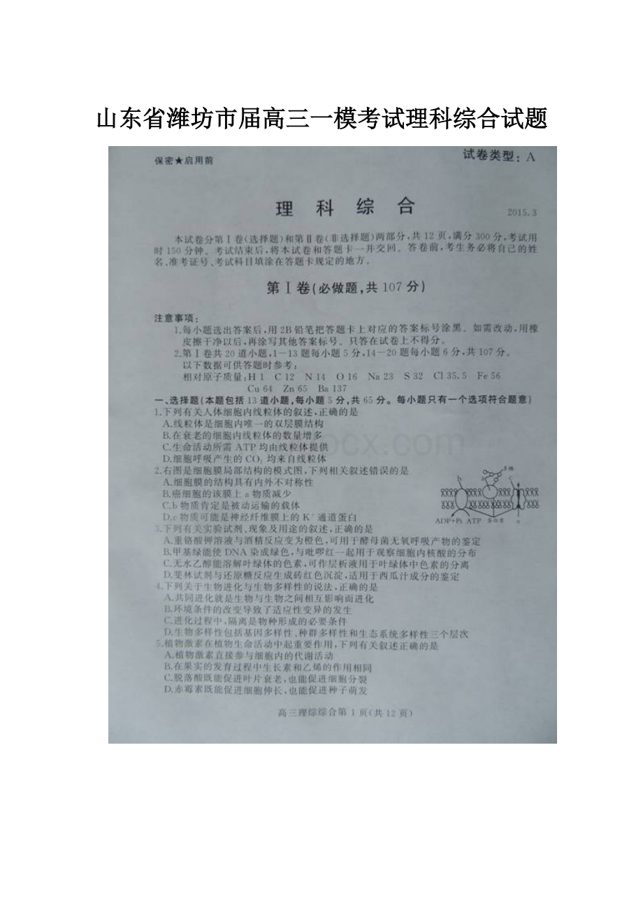 山东省潍坊市届高三一模考试理科综合试题.docx