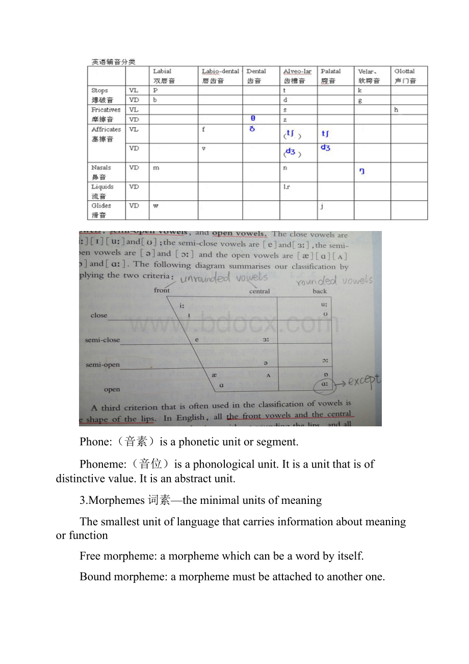 Linguistics语言学归纳.docx_第3页