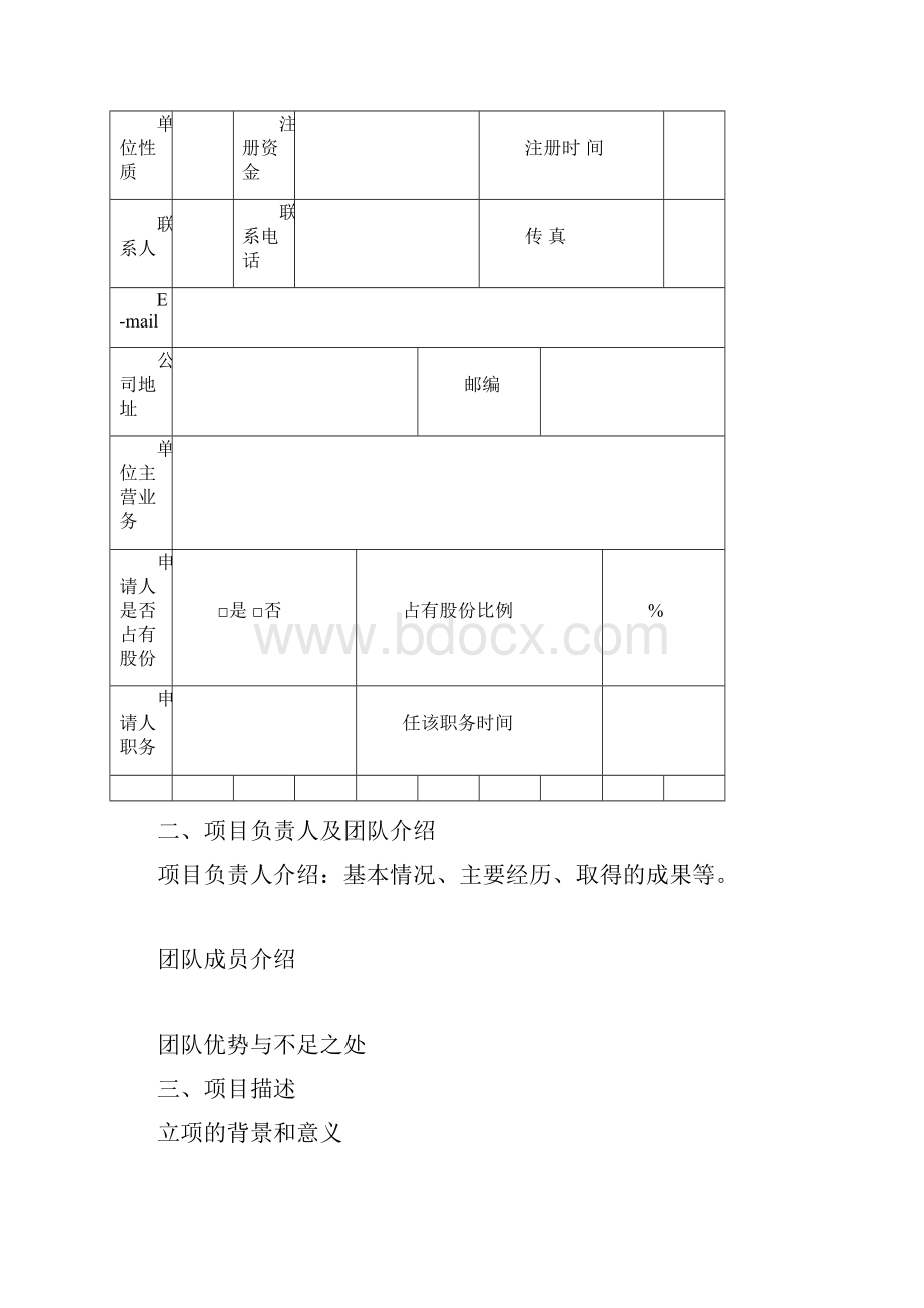 申报项目计划书.docx_第2页