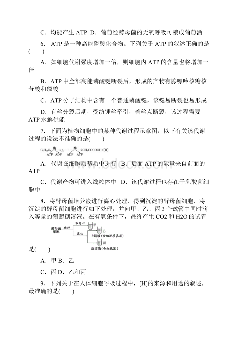 ATP和细胞呼吸.docx_第2页