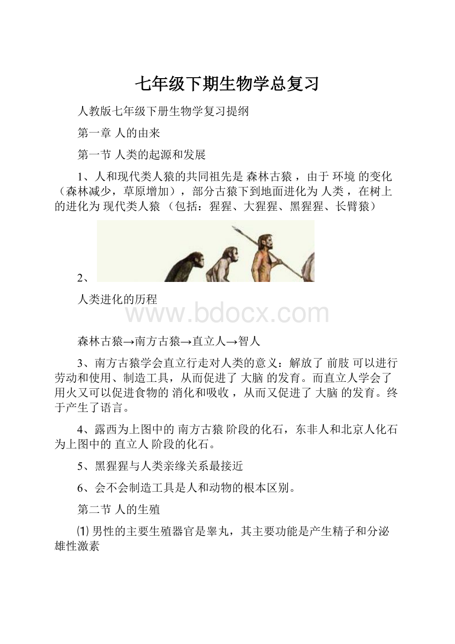 七年级下期生物学总复习.docx