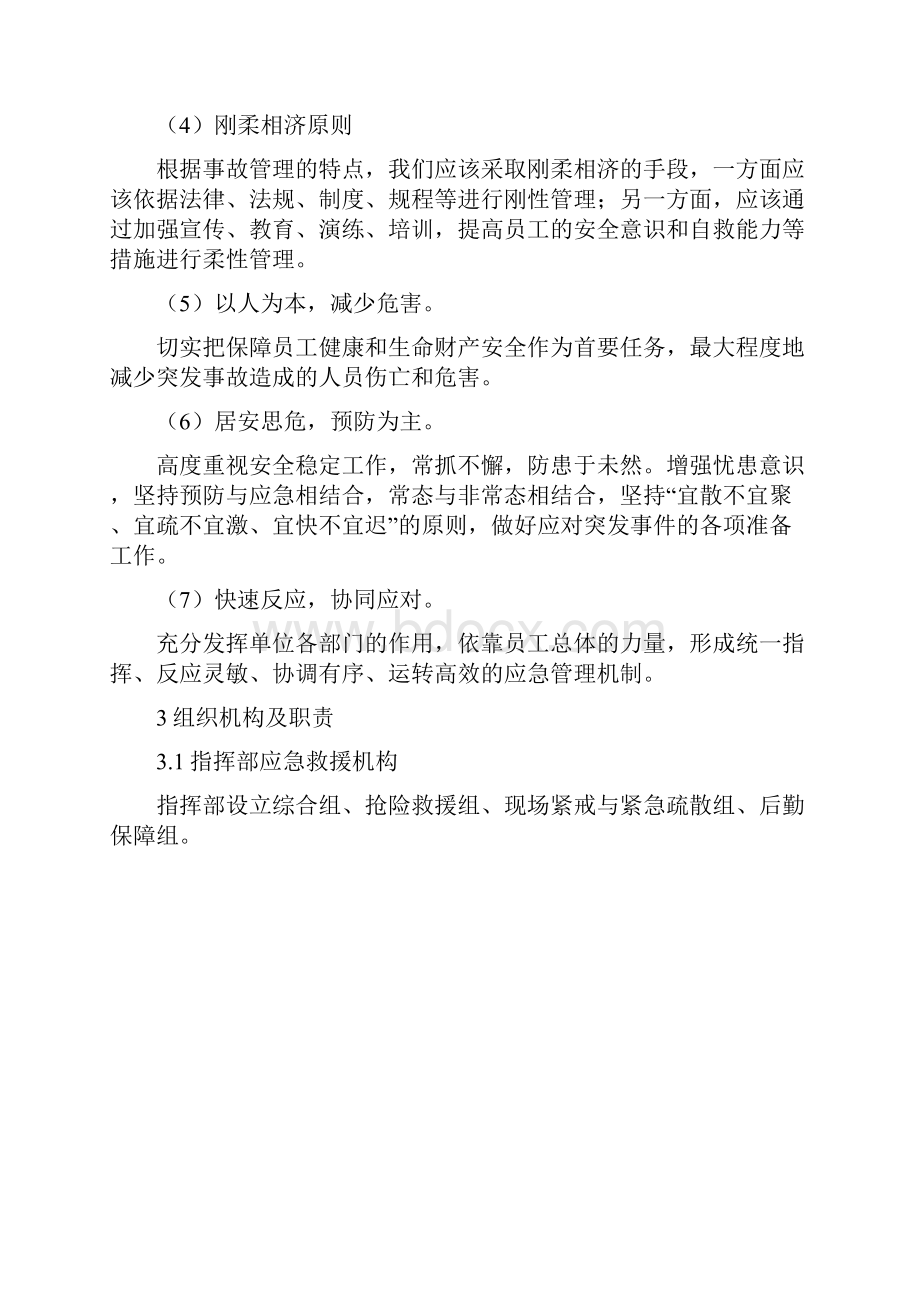 专项应急救援预案.docx_第2页