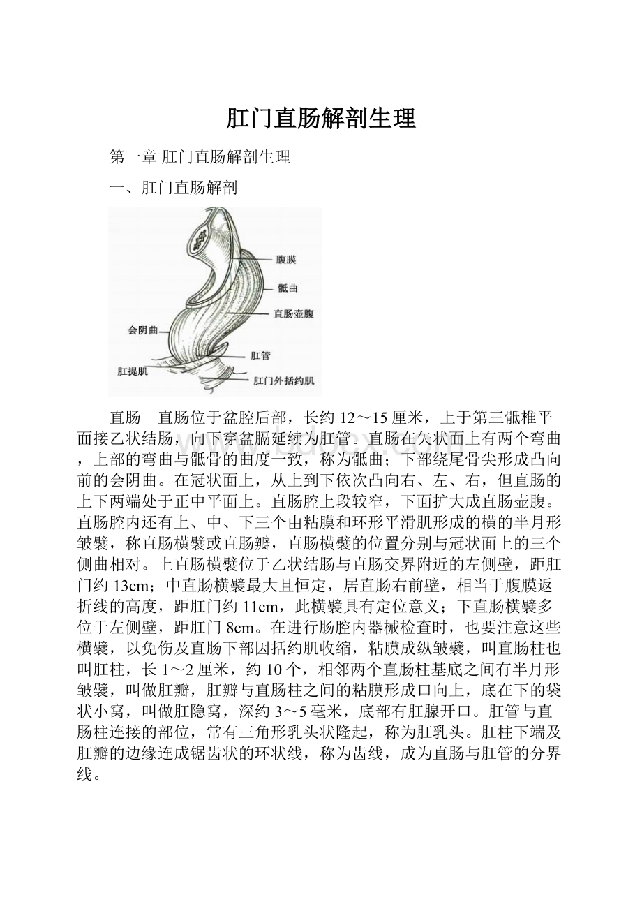 肛门直肠解剖生理.docx