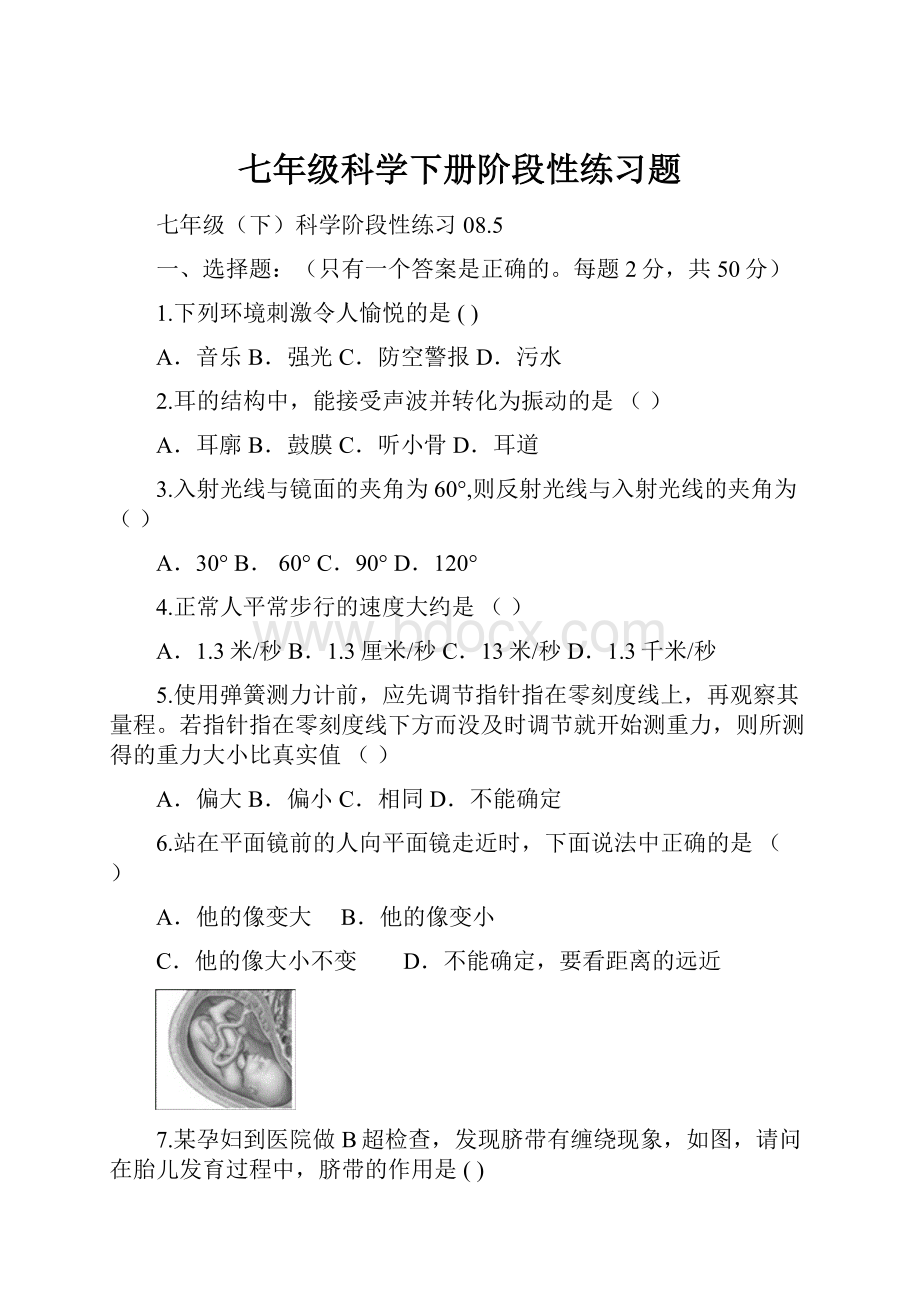 七年级科学下册阶段性练习题.docx_第1页