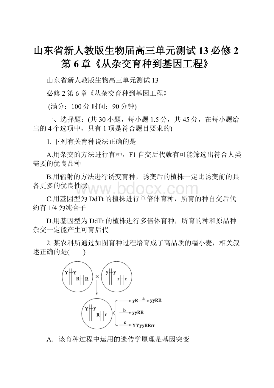 山东省新人教版生物届高三单元测试13必修2第6章《从杂交育种到基因工程》.docx