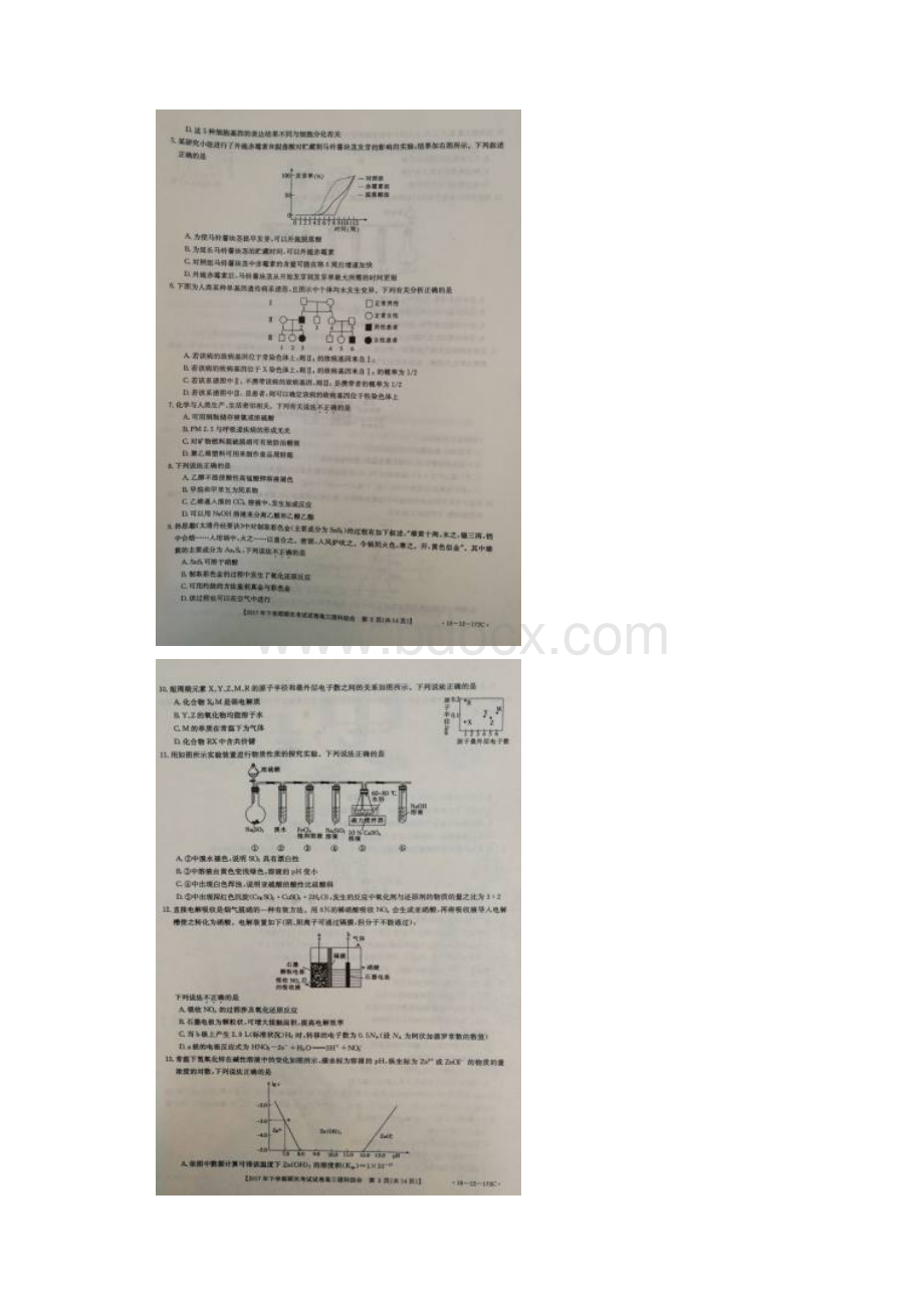 湖南省邵阳市届高三理综上学期期末考试试题扫描版.docx_第2页