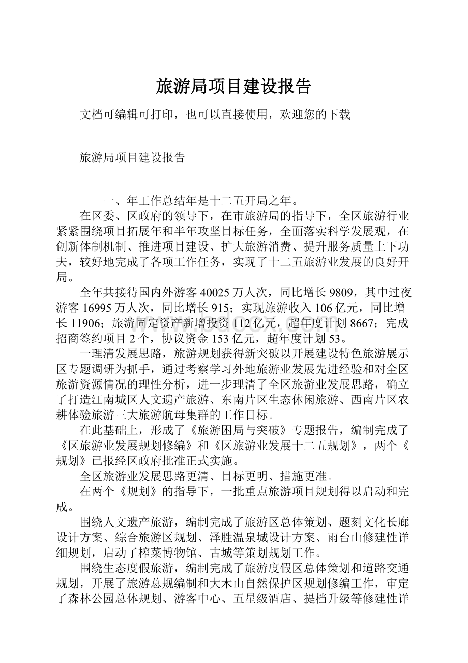 旅游局项目建设报告.docx_第1页