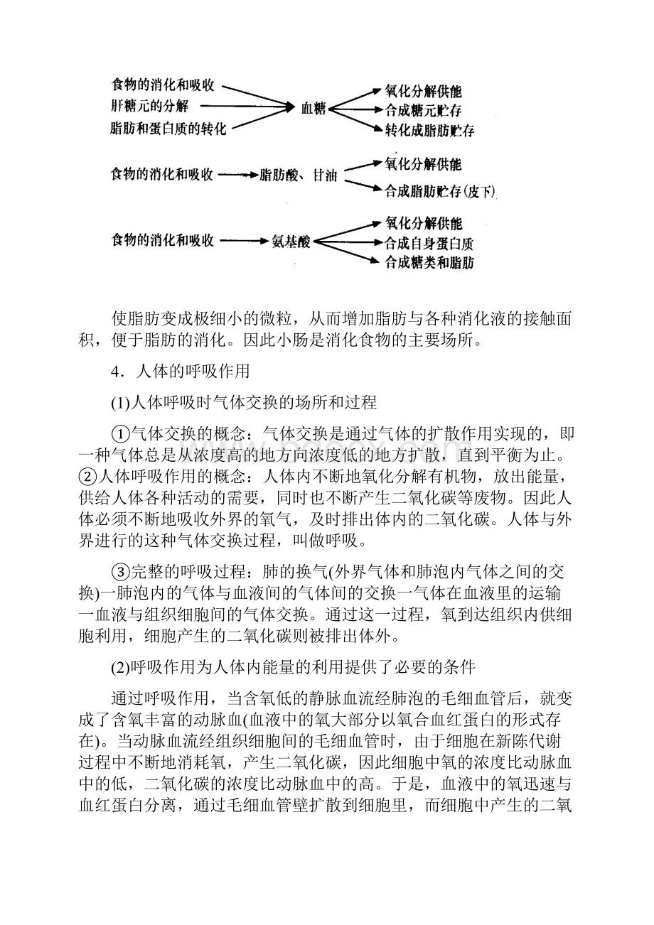 人体的新陈代谢知识点.docx_第3页