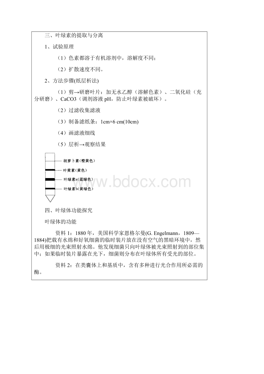 第十六节 捕获光能的色素和结构.docx_第2页