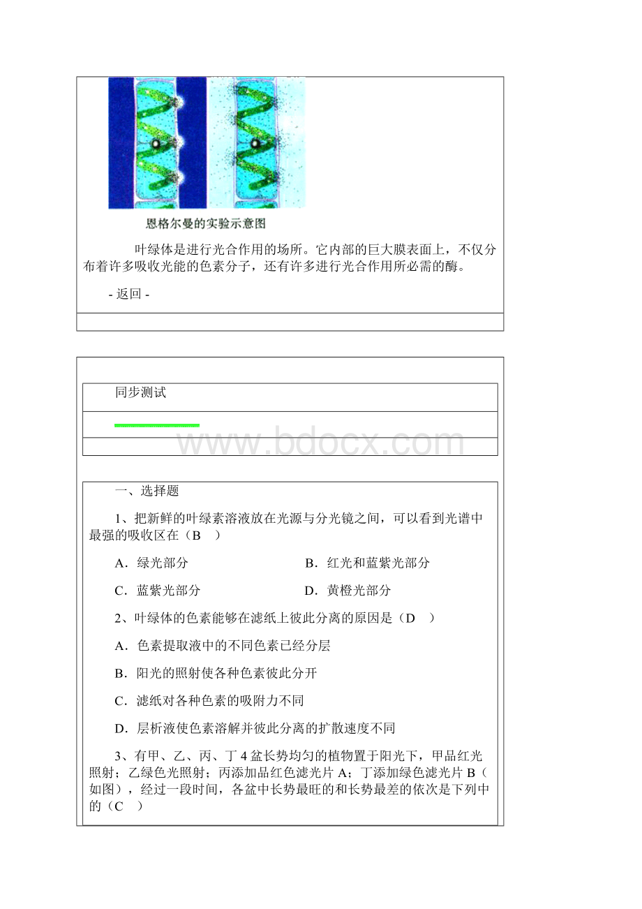 第十六节 捕获光能的色素和结构.docx_第3页