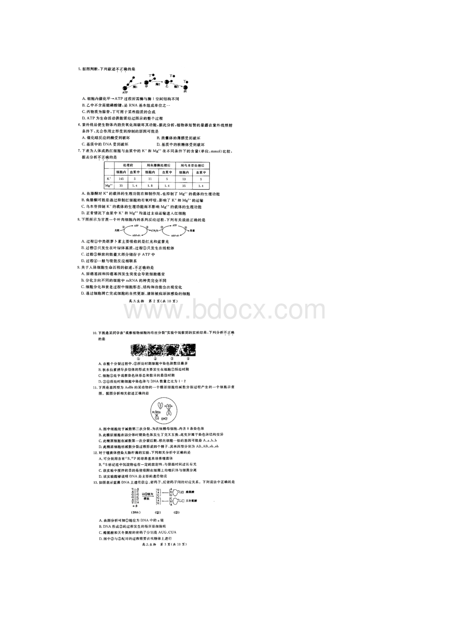 北京市东城区届高三上学期期末考试生物试题扫描版.docx_第2页