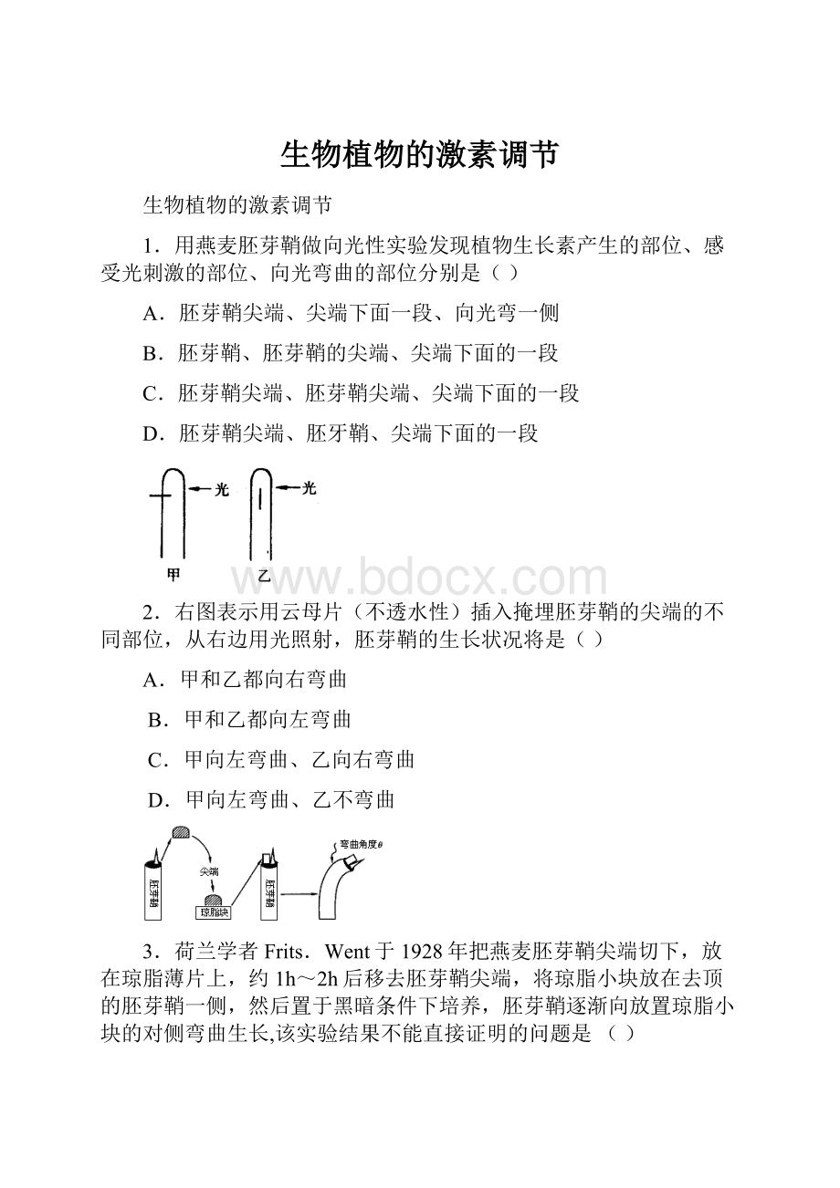 生物植物的激素调节.docx_第1页