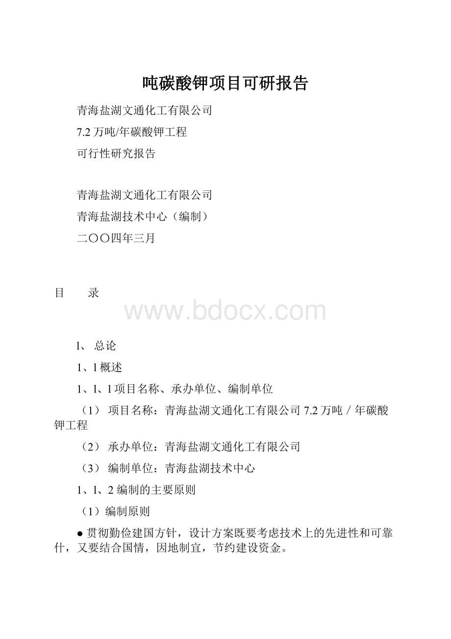 吨碳酸钾项目可研报告.docx_第1页