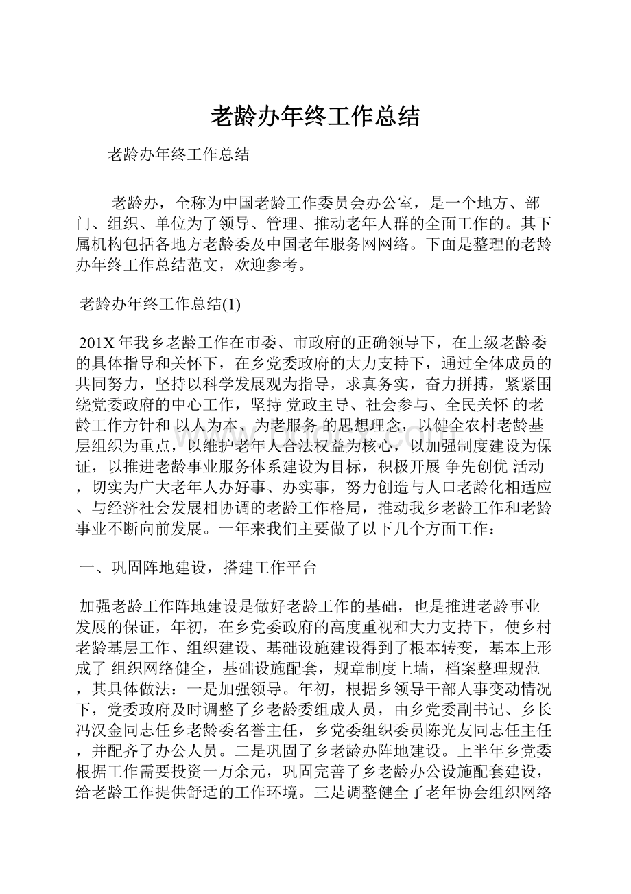 老龄办年终工作总结.docx_第1页